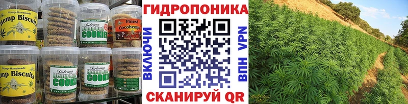 Canna-Cookies конопля  Купить где  Карпинск 