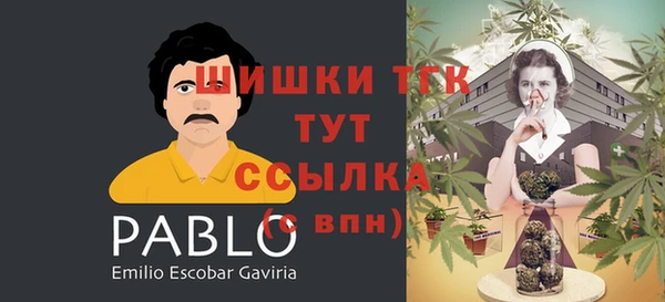 mix Бородино