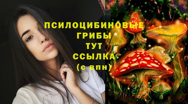 мдпв Богданович