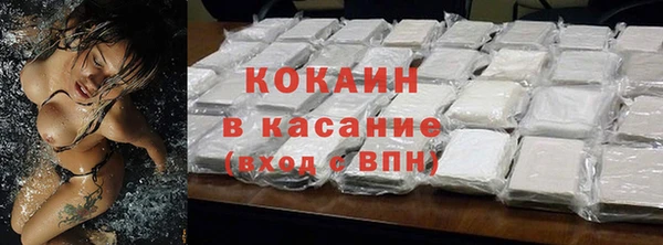 mdpv Богородск